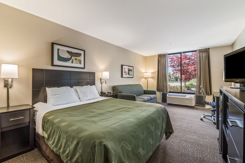 Standard Room, 1 Queen Bed with Sofa bed, Non Smoking photo 2