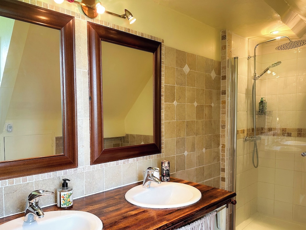 Deluxe Double or Twin Room photo 3