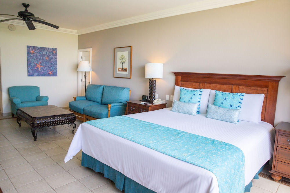 Junior Suite, 1 King Bed, Ocean View - Photo 3