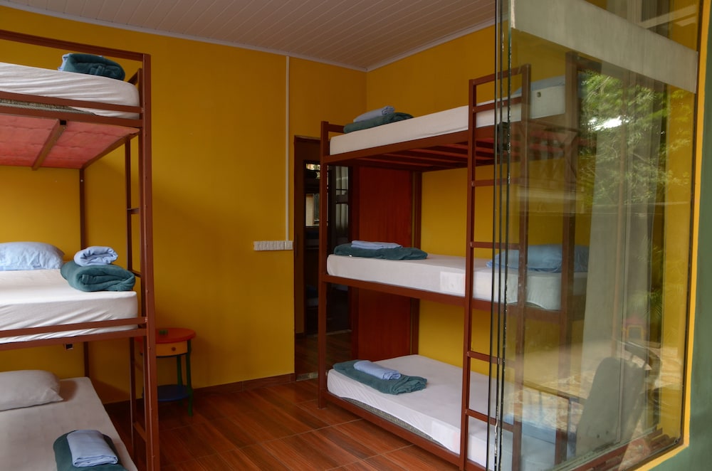 Shared Dormitory, Mixed Dorm photo 1