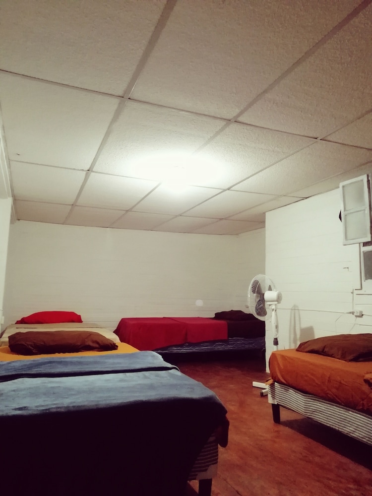Basic Shared Dormitory, Multiple Beds, Non Smoking, Shared Bathroom photo 1