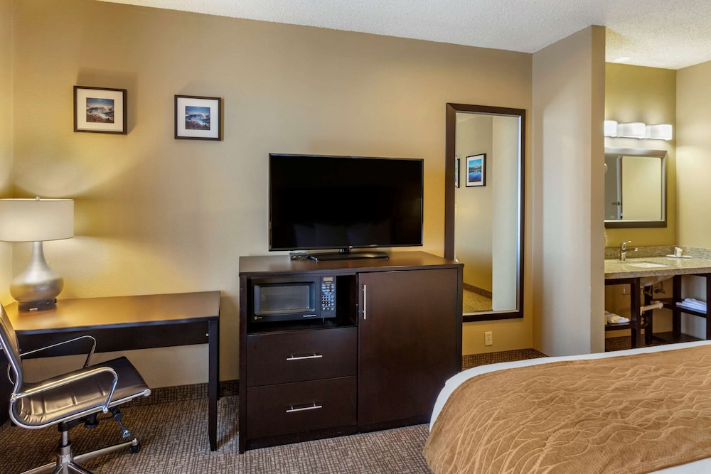 Suite, 1 King Bed with Sofa bed, Non Smoking (Upgrade) - Photo 2