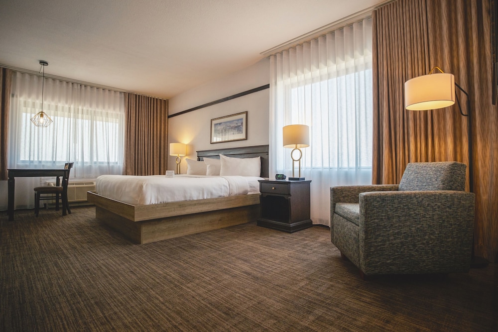 Spacious Room, 1 King Bed photo 1