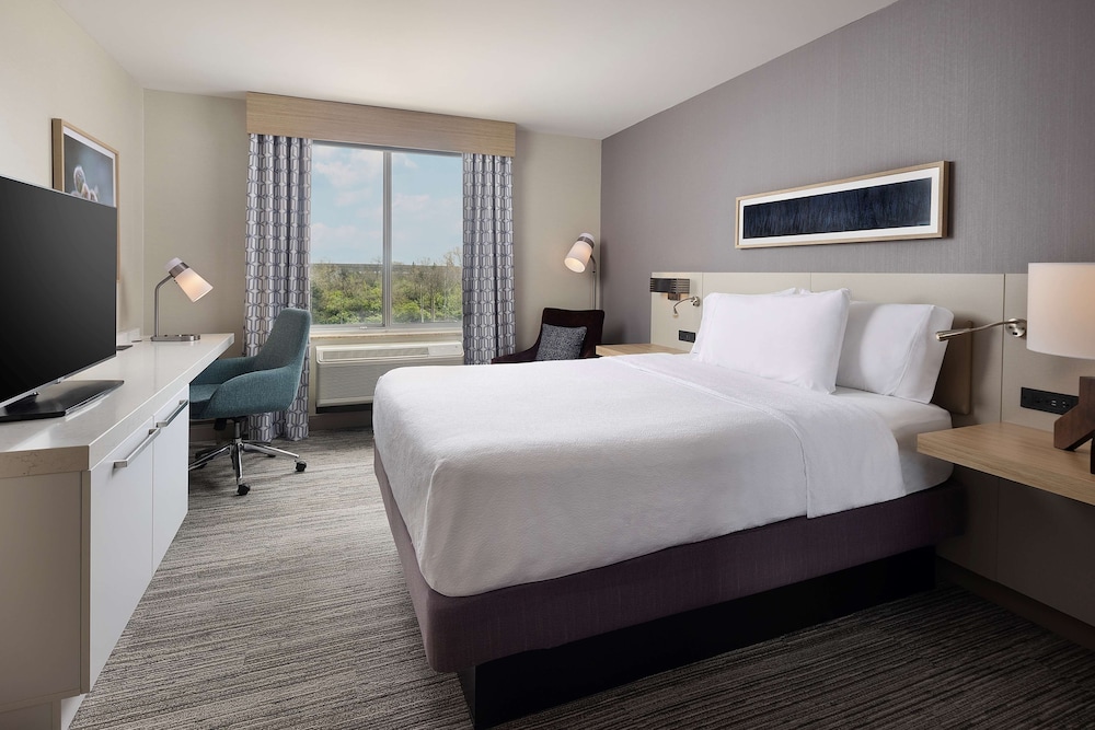 Room, 1 King Bed, Accessible - Photo 3