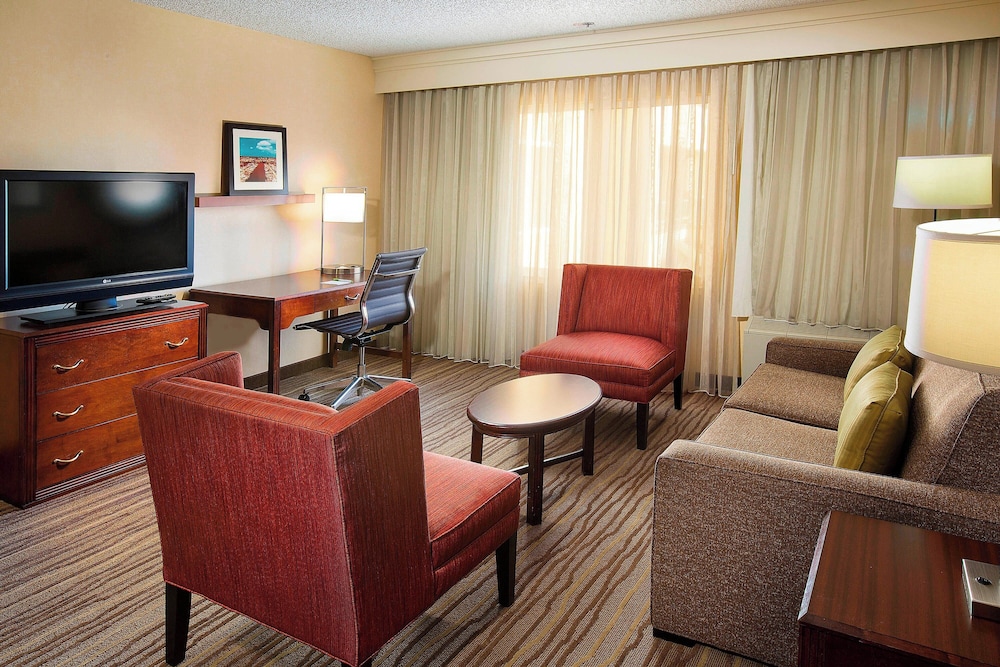 Suite, 1 King Bed with Sofa bed (Hearing Accessible) photo 3