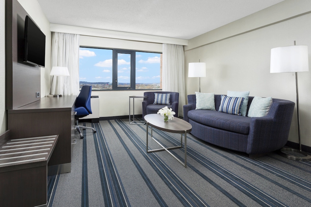 Suite, 1 King Bed with Sofa bed