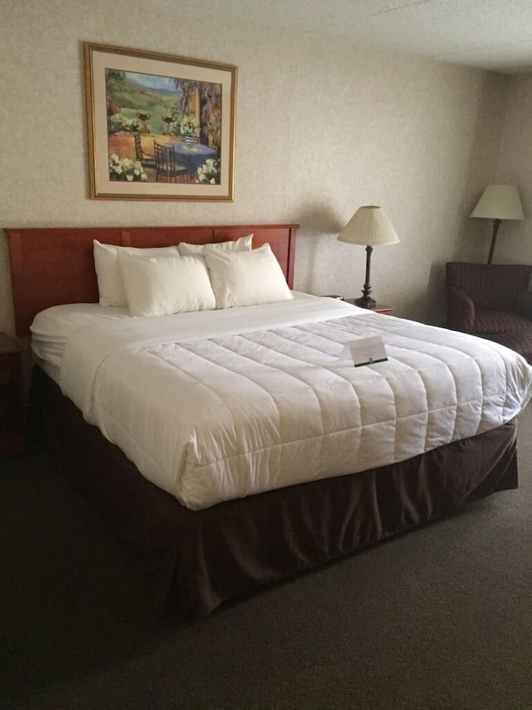 Standard Room, 1 King Bed, Non Smoking, Poolside (First Floor) - Photo 3
