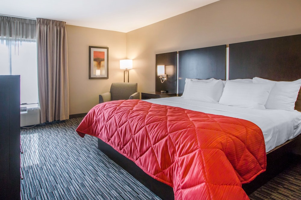 Standard Room, 1 King Bed, Accessible - Photo 5