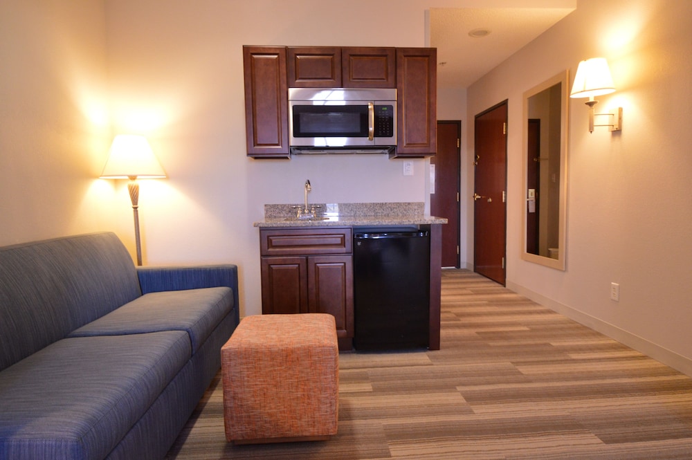 Suite, 1 King Bed - Photo 1