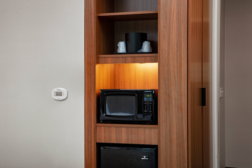 Standard Room, 1 King Bed (Mobility Accessible, Roll-In Shower) - Photo 1