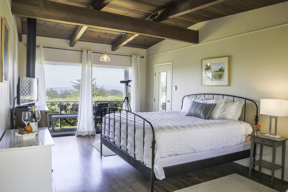 Buckhorn Cove Room