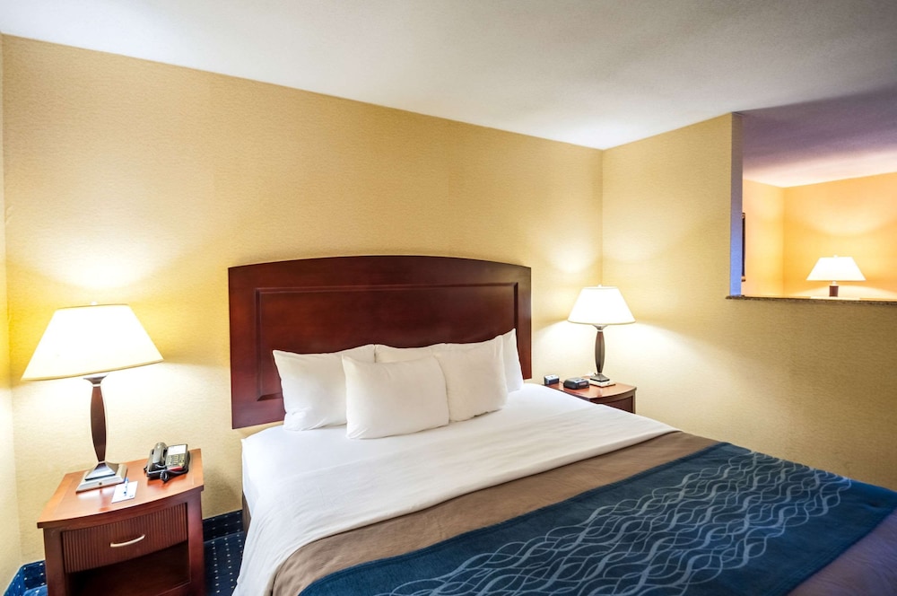 Suite, 1 King Bed, Non Smoking - Photo 3
