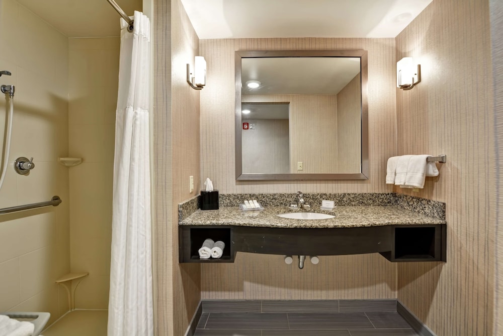 Suite, 1 King Bed with Sofa bed, Accessible