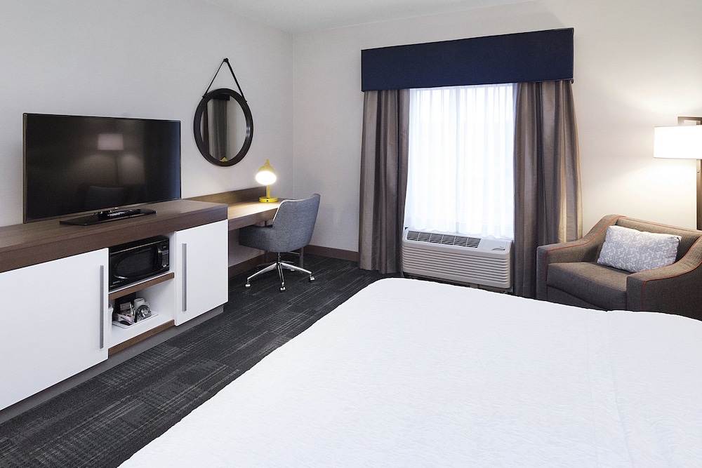 Room, 1 King Bed, Non Smoking, Refrigerator & Microwave photo 2