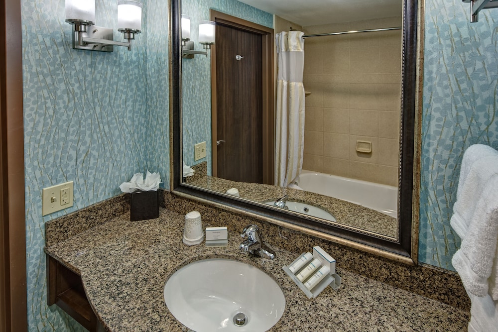 Suite, 1 Bedroom - Photo 5