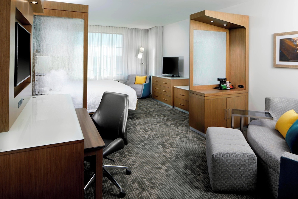 Suite, 1 King Bed with Sofa bed