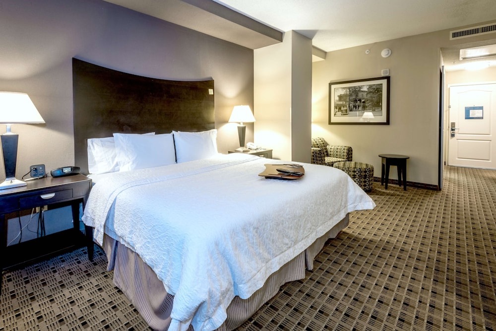 Room, 1 King Bed, Accessible - Photo 3