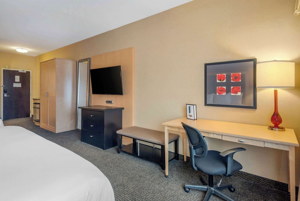 Standard Room, Multiple Beds, Non Smoking - Photo 6