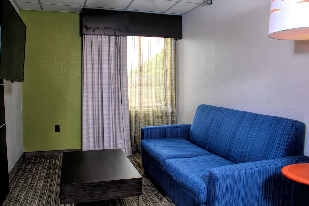 Suite, 1 King Bed, Non Smoking