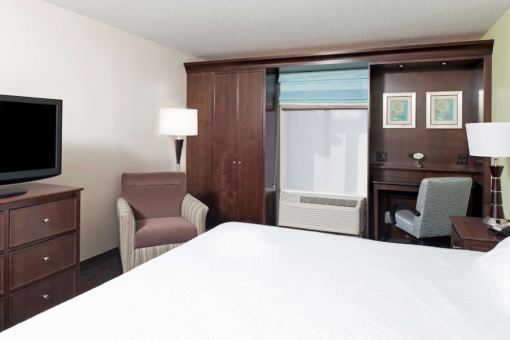 Room, 1 King Bed, Non Smoking (Connecting Rooms) photo 3