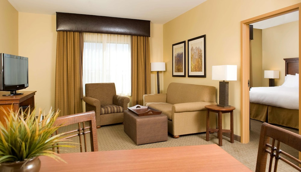 Suite, 1 King Bed, Accessible (Mobility & Hearing, Roll-in Shower) - Photo 8