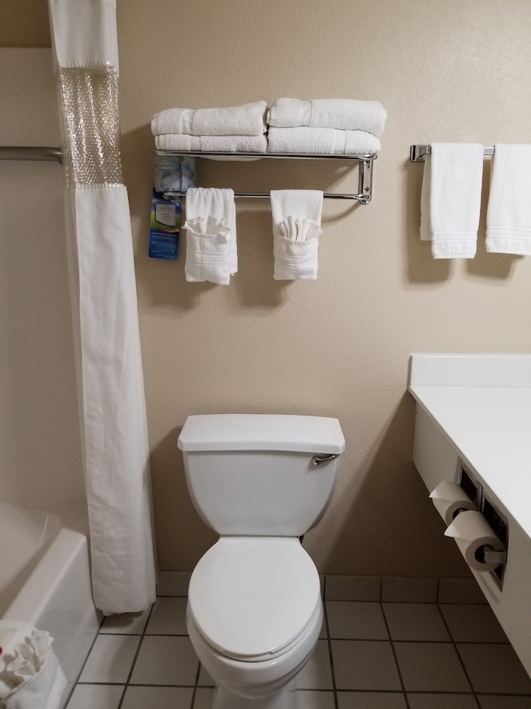 Deluxe Suite, 1 King Bed, Non Smoking, Executive Level - Photo 4