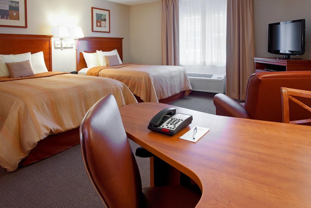 Studio Suite, 2 Queen Beds - Photo 1