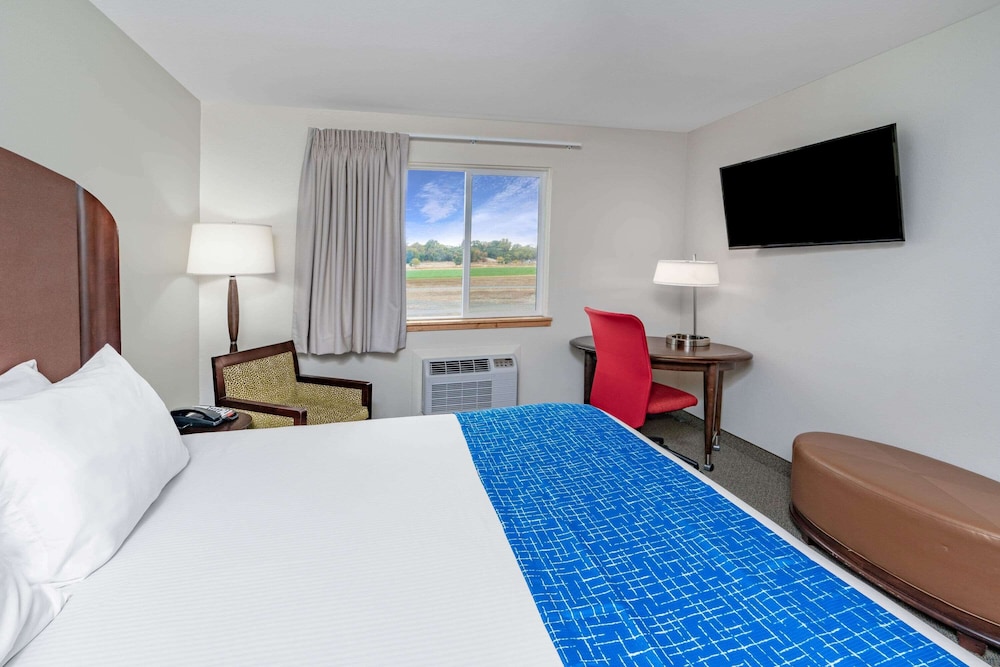 Room, 1 Queen Bed, Non Smoking photo 2
