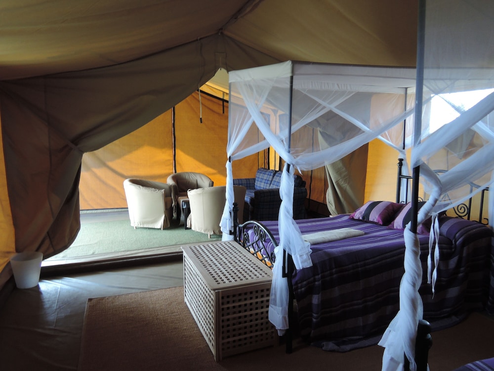 Standard Single Room photo 1