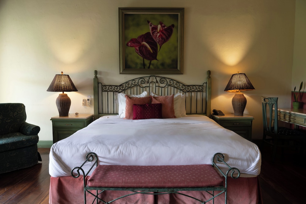 Suite, 1 King Bed photo 3