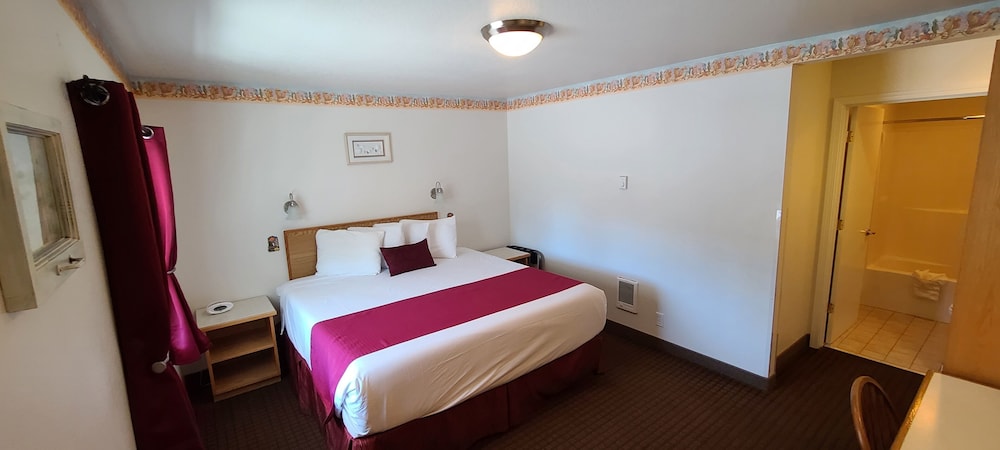 Studio Suite, 1 King Bed photo 3