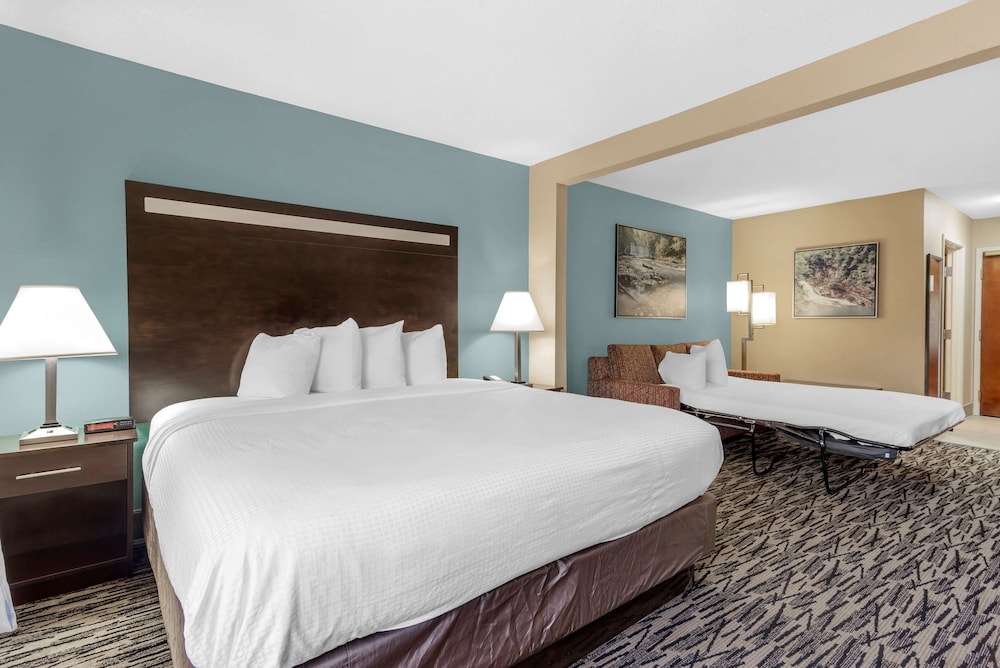 Suite, 1 King Bed, Non Smoking photo 1
