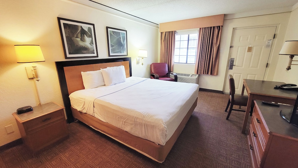 Basic Room, 1 King Bed