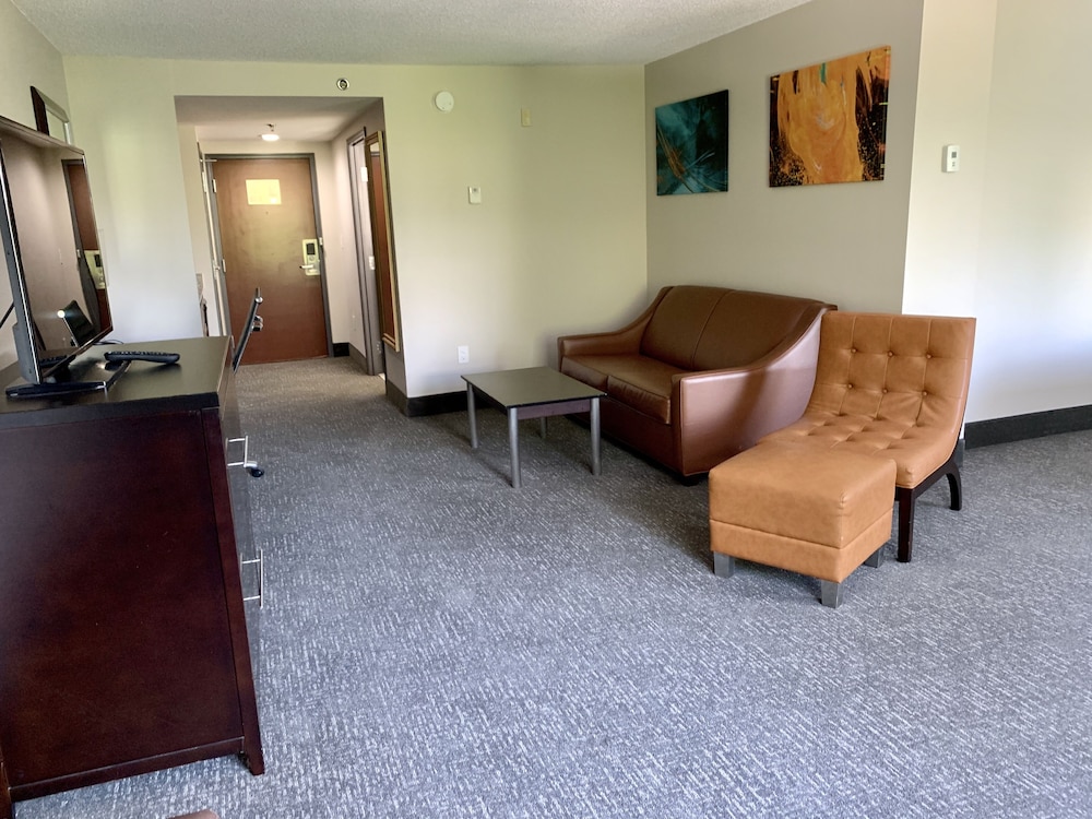 Suite, 1 King Bed, Accessible, Non Smoking - Photo 4