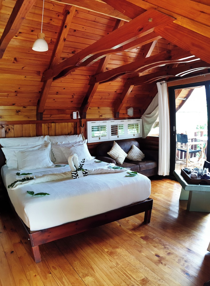 Safari Room photo 1