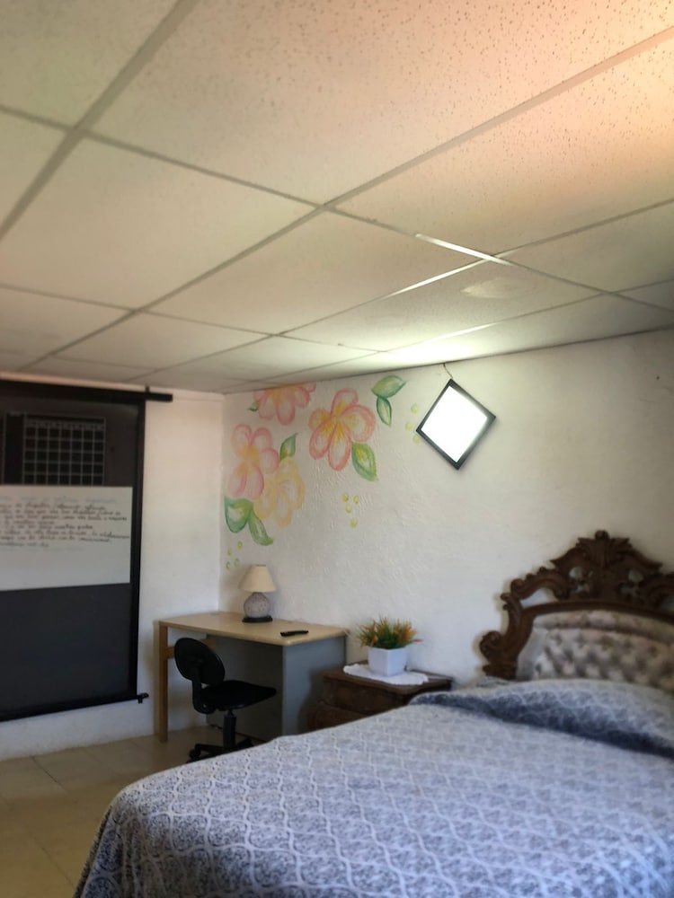 Basic Single Room photo 2