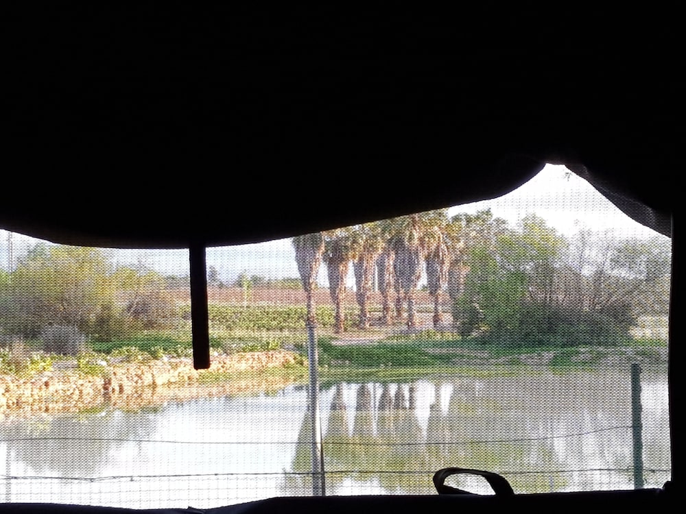 Safari Lodge tent