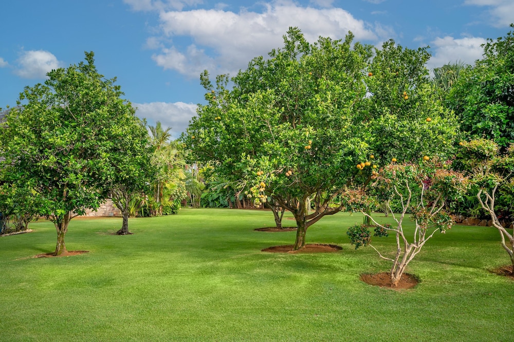 Anini Vista Drive Estate, Billede 23