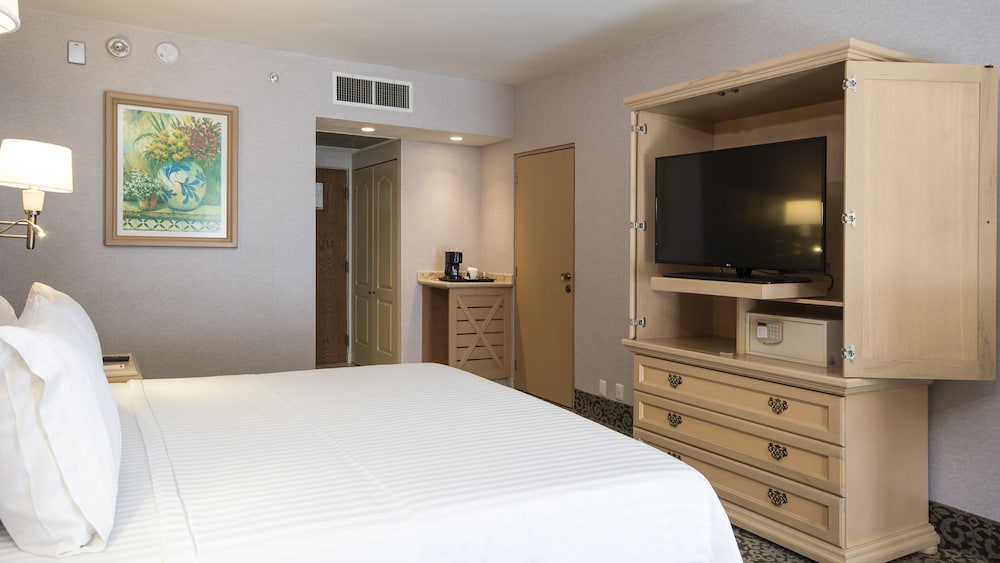 Standard Room, 1 King Bed, Accessible Bathtub - Photo 1