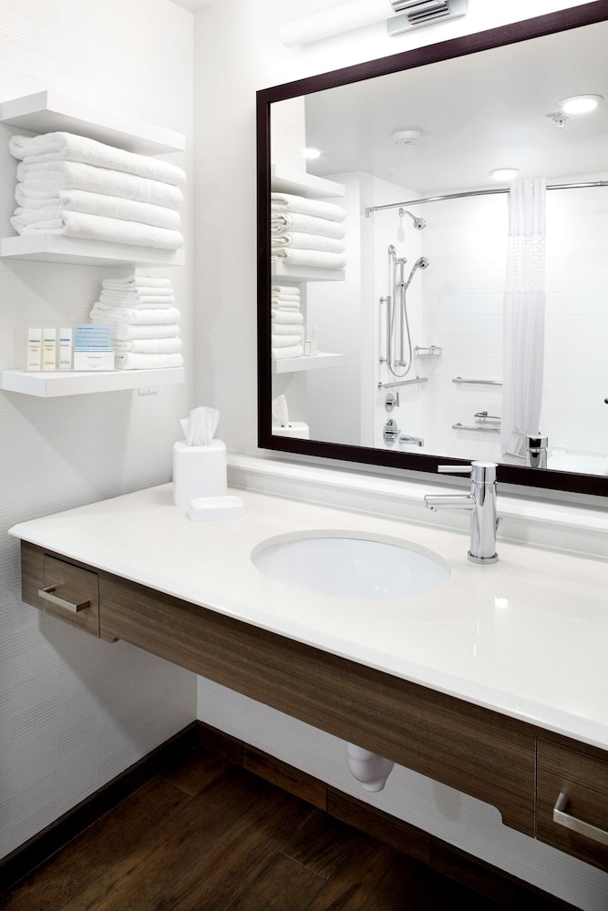 1 king mobility/hearing acc w/tub photo 3
