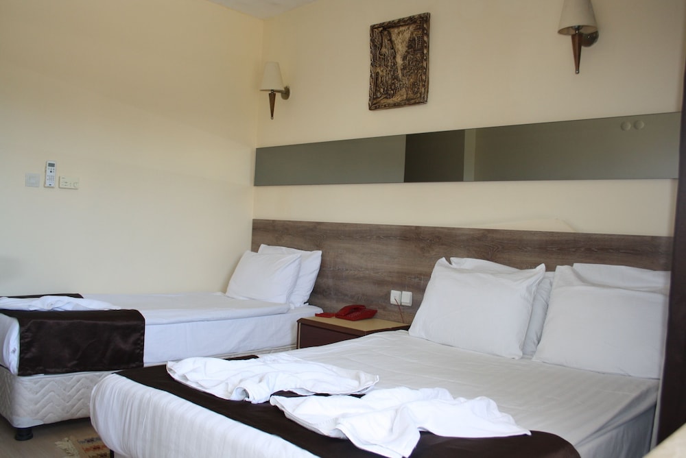 Deluxe Double or Twin Room, Jetted Tub photo 2
