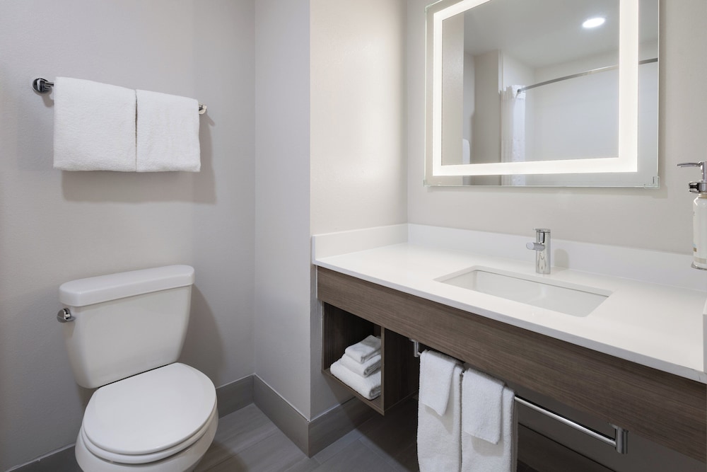 Standard Room, 1 King Bed, Jetted Tub - Photo 3