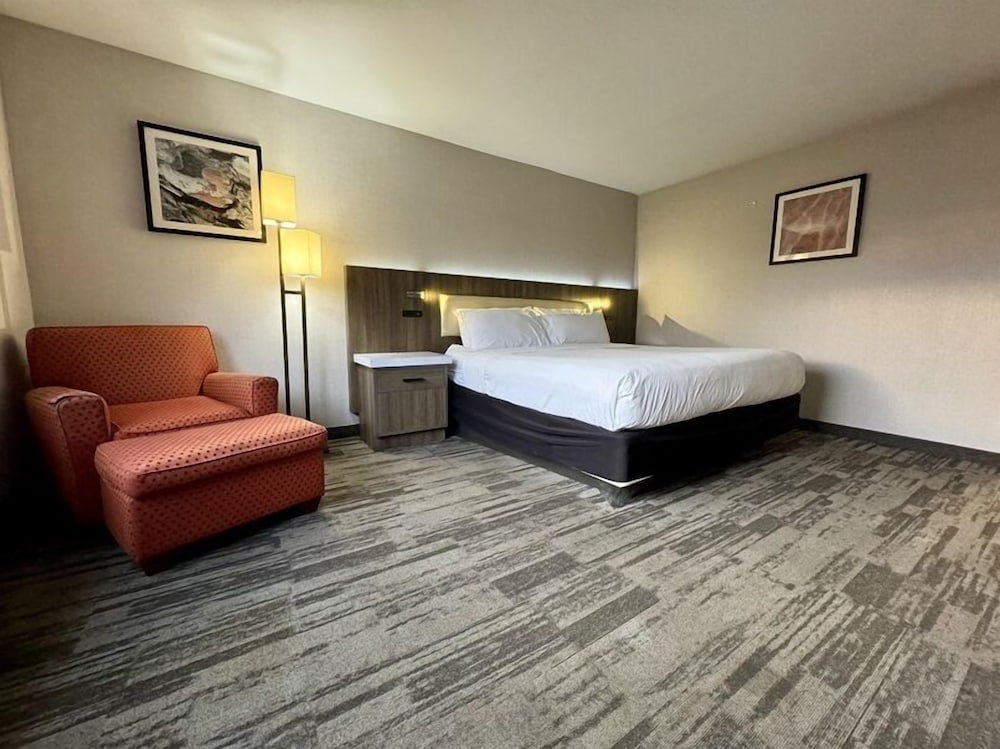 Deluxe Room, 1 King Bed, Non Smoking