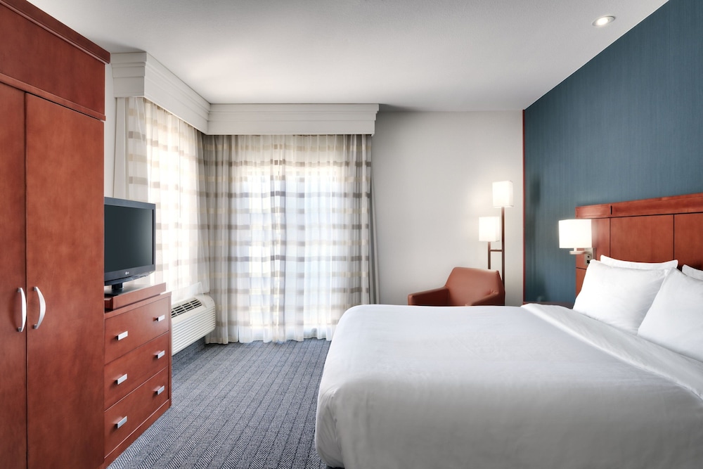 Suite, 1 King Bed with Sofa bed