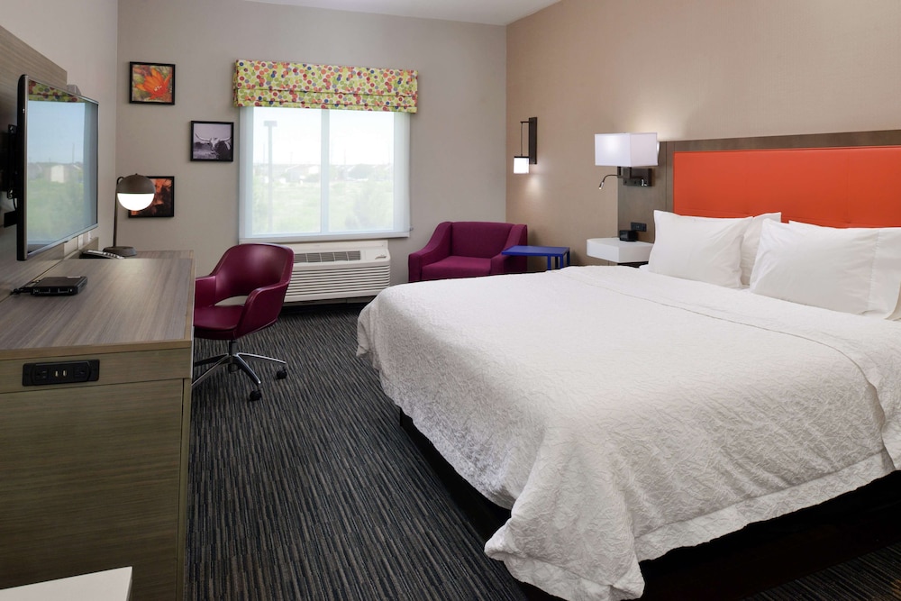 One king bed ns photo 1