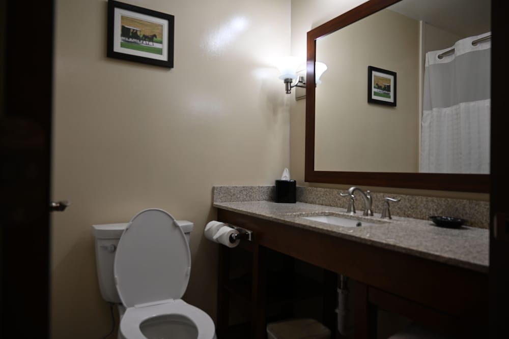 Business King Studio Suites with Extra Large Sofa bed photo 3