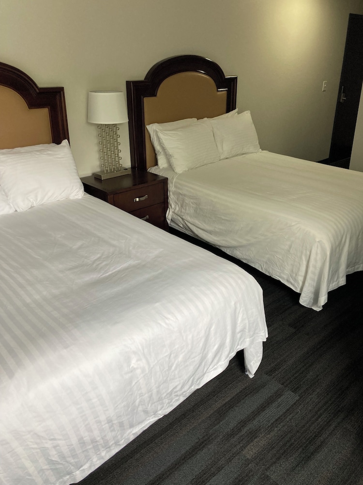 Room 216 - 2 Queen Beds photo 1