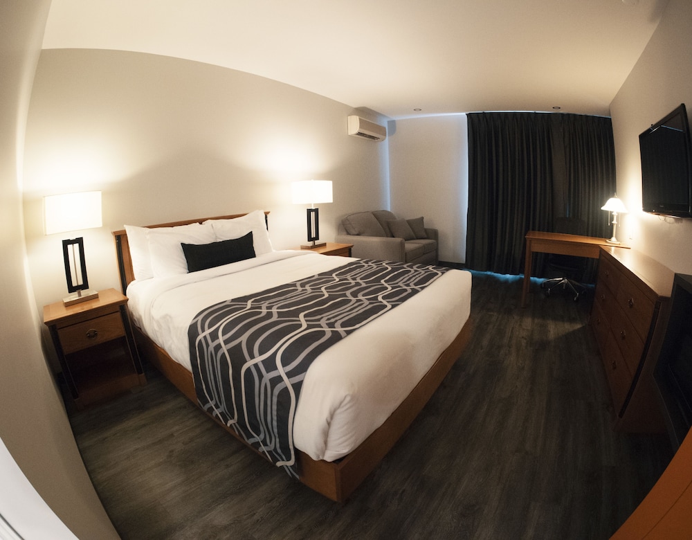 Superior Room, 1 Queen Bed photo 3