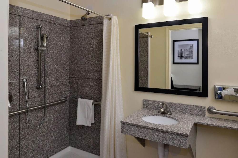 Room, 1 King Bed, Roll-in Shower, Non Smoking - Photo 5