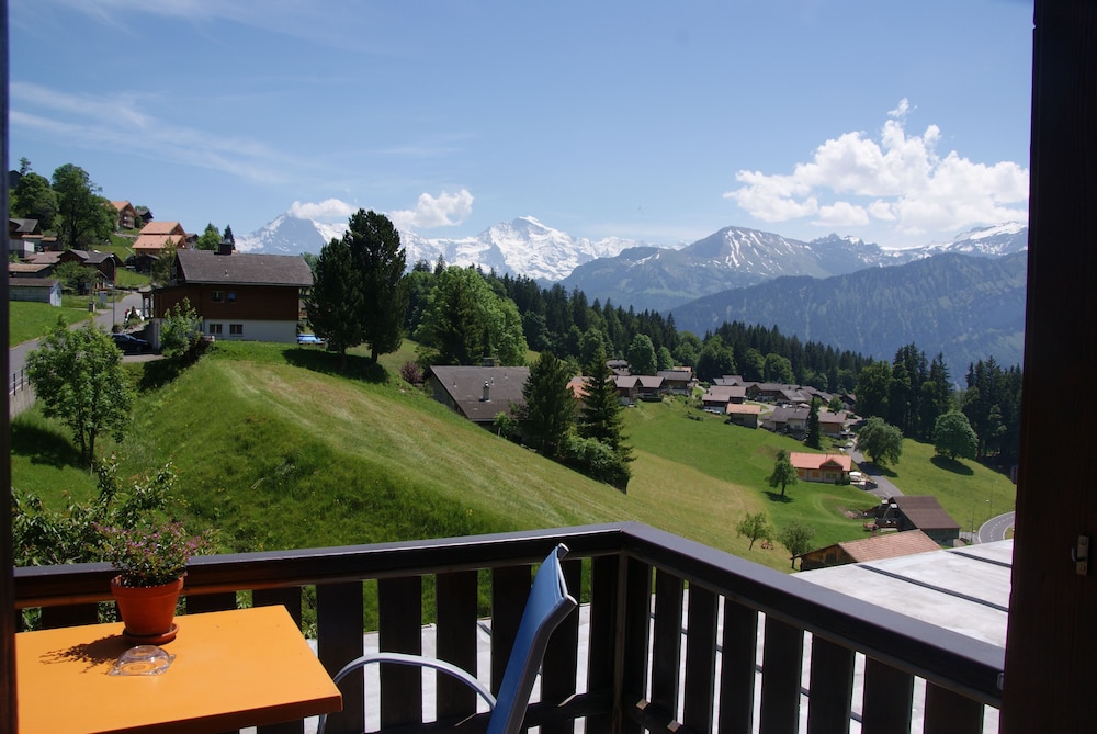 Single Room, Balcony, Mountain View photo 3